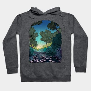 Jones Gap Hoodie